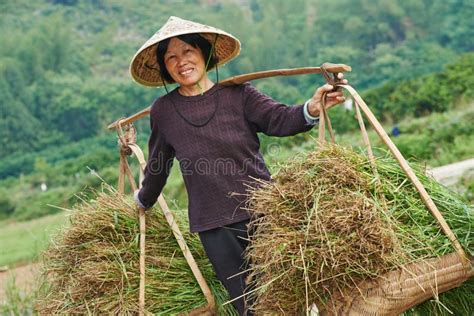 Chinese Agricultural Farm Worker Stock Photo Image Of People Farm