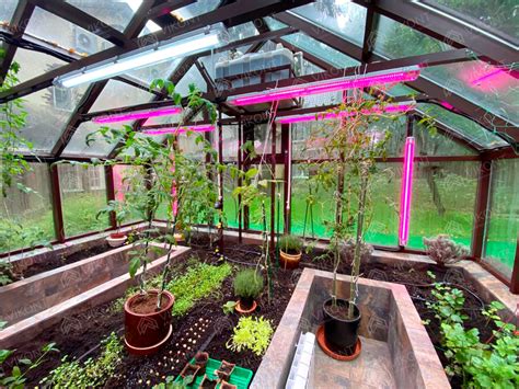 Купить круглогодичную теплицу с отоплением под ключ в Москве