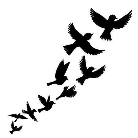 Flock Of Birds Silhouette Vector at Vectorified.com | Collection of ...