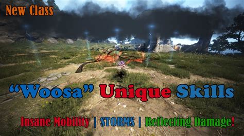 Woosa Unique Skills Showcase PvP Gameplay BDO New Class YouTube