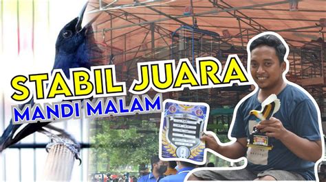 SETTINGAN KACER MANDI MALAM STABIL JUARA KACER JUARA ANGKASA ENTERPRISE