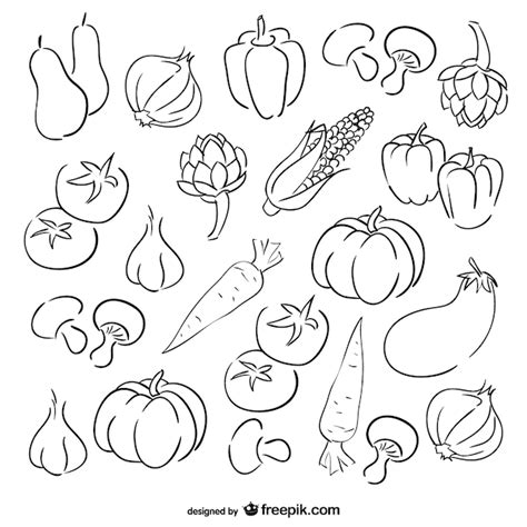 Premium Vector | Vegetables sketch set