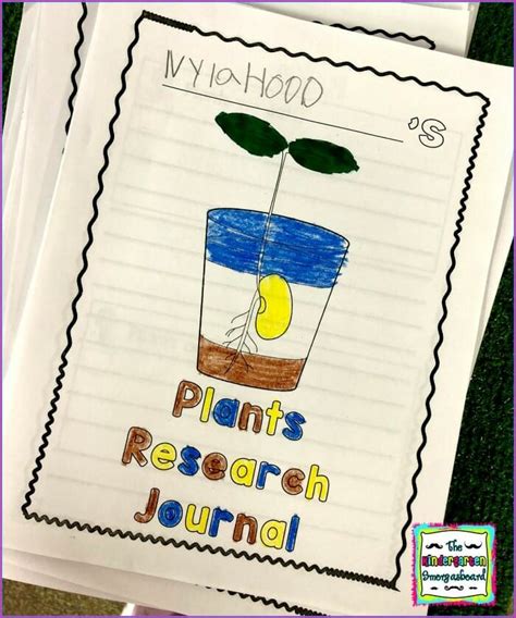 Plants Lesson Plans | Plants lesson plans, Research projects, Plant science