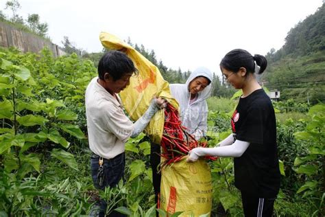 重庆黔江：易地扶贫搬迁户的生活 人民图片网