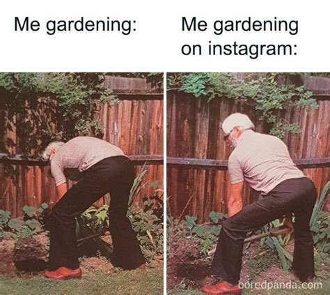 Gardening Humour Memes In 2024 Funny Photos Memes Gardening Memes