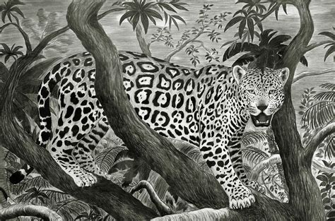 Jaguar In Tropical Forest Drawing By Nicola Fusco Fine Art America