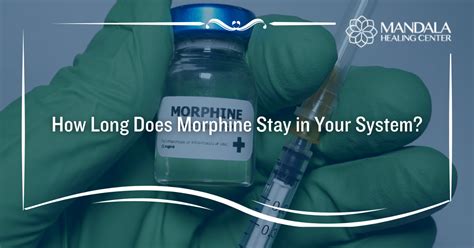 How Long Does Morphine Stay In Your System Mandala Healing Center