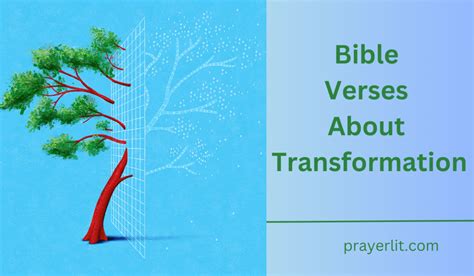 30 Powerful Bible Verses About Transformation 2025 PrayerLit