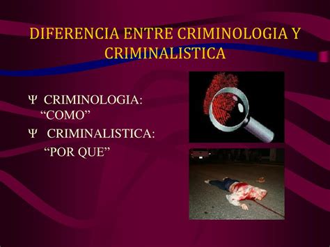 Diferencias Entre La Criminologia Y La Criminalistica Web Hot Sex Picture