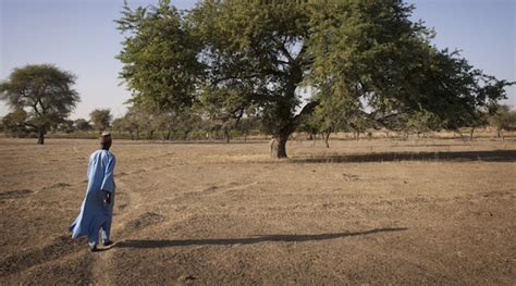 Drying Lake Chad Basin Triggers Humanitarian Crisis Analysis