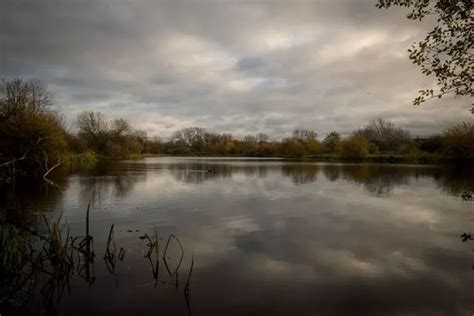 The Secret Lake Behind A Tip Thats Loved By Levenshulme Locals