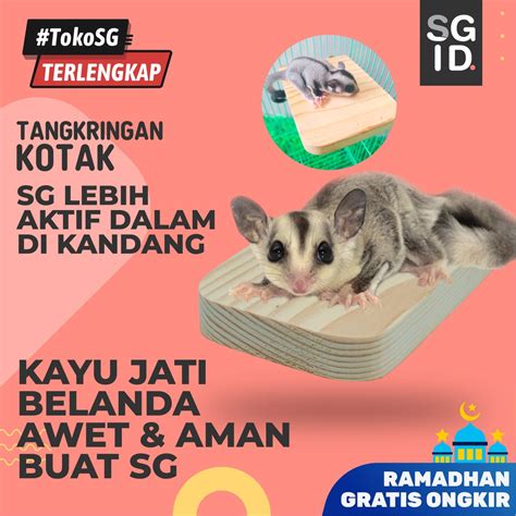 Jual Tangkringan Kotak Kandang Sugar Glider Burung Mainan Chincila