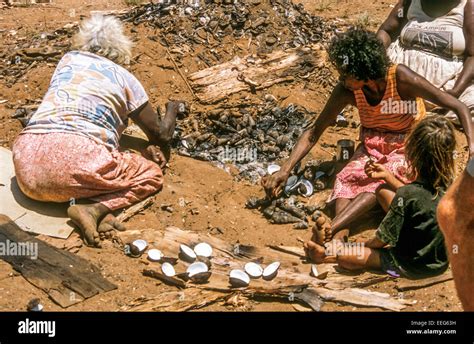 Tiwi Aboriginal Women Cooking Whelks Tiwi Islands Northern Territory