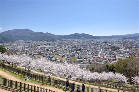 新倉山浅間公園の桜【富士吉田市】 山梨の桜名所・お花見スポット2024〜富士山との絶景や夜桜、春のお祭りまで Porta