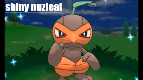 Shiny Nuzleaf After Friendsafari Encounters Youtube