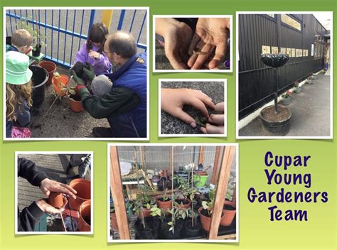 Cupar Young Gardeners Update – Cupar YMCA-YWCA