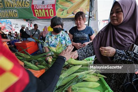 MAFS Sasar RM750 Ribu Jualan FAMA Fest 2024 Selangor