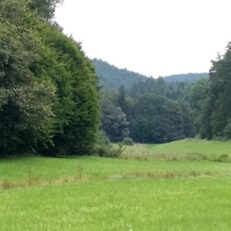 Wandern Pf Lzer Rundwanderung Mit Einkehr Naturfreundehaus