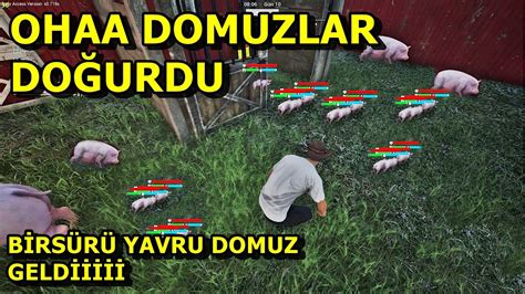 Ohaaa Domuzlar DoĞurdu Sera Yaptik Zengİn Oluyoruz Ranch Sİmulator 3