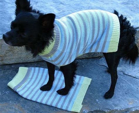 Hundepullover Stricken Warme Ideen Strickanleitung Diy