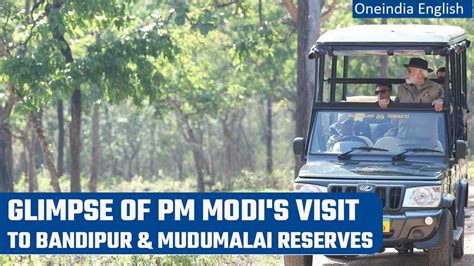 Pm Modi Shares Glimpse Of His Visit To Bandipur And Mudumalai Tiger