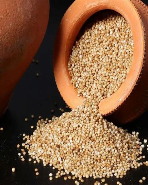 Indian 99 Organic Kodo Millet At Rs 149 Kg In Raichur ID 2852933983297