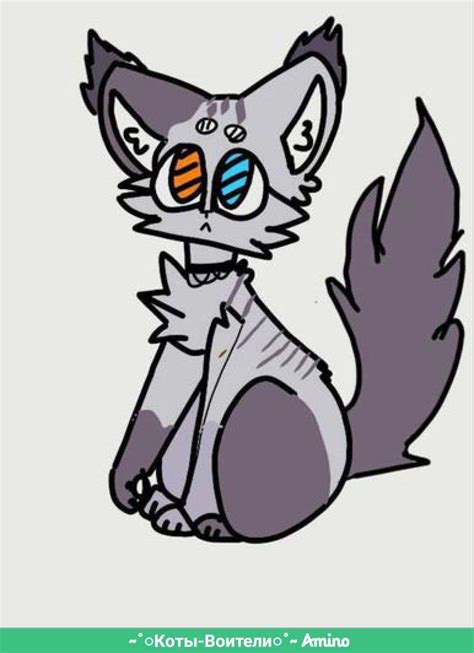 Анкета:"^ | Wiki | •|Коты - Воители|Полночь|• Amino