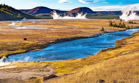 Best Time To Visit Yellowstone National Park Planetware