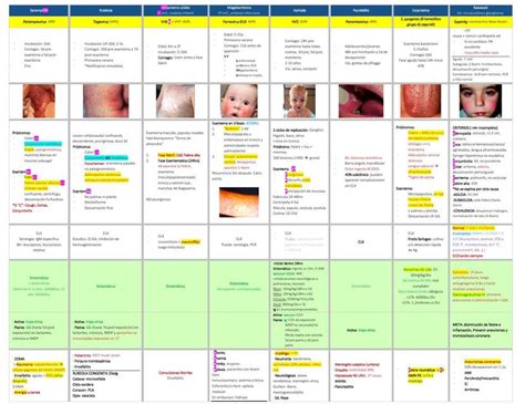 Enfermedades Exantematicas En Pediatria