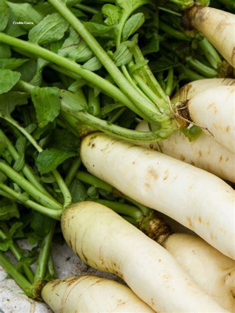 7 Surprising Health Benefits Of Eating Mooli Ke Patte Radish Leaves