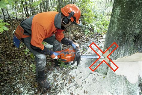 Basic Rules For Working Safety Husqvarna Chainsaw Academy