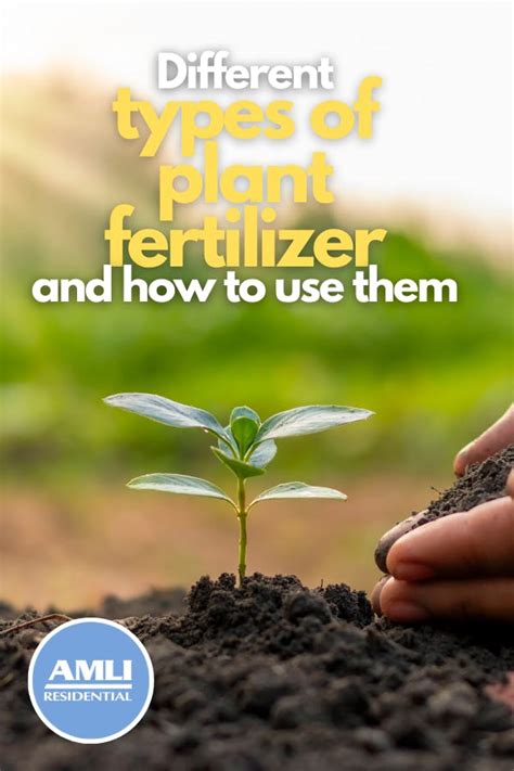 An Essential Guide to Plant Fertilizer