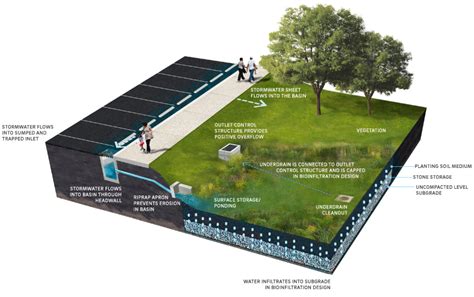 Bioretention Basin Design