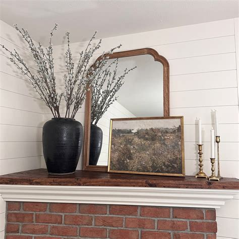 Pussy Willow Branch Etsy