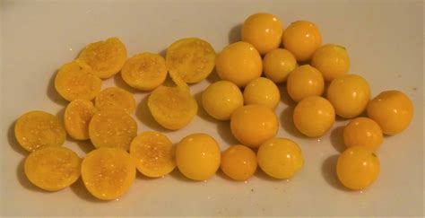 cape gooseberries - Health Travel Junkie