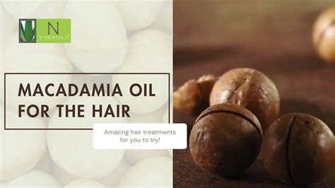 Macadamia Oil Hair Treatments To Try N Essentials Pty Ltd Youtube