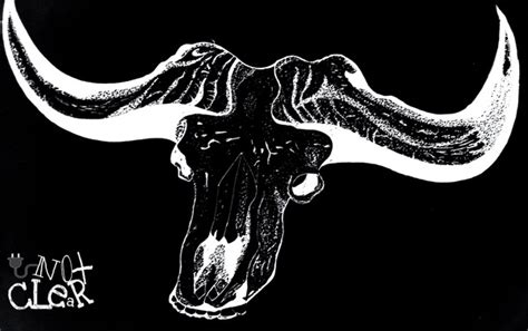 African Buffalo Skull Over Royalty Free Licensable Stock