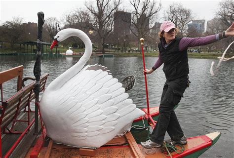 Bostons Swan Boats In The 2013 Season