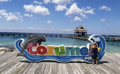 Chankanaab National Park And Dolphin Discovery Cozumel Visitor S Guide