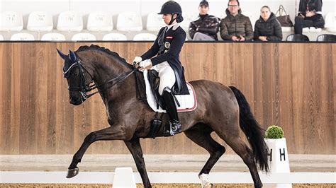 Oster Dressur In G Ssendorf Springen In Saint Tropez Vielseitigkeit