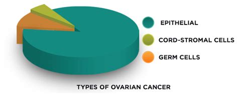 The Clearity Foundation Ovarian Cancer Basics