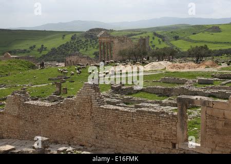 Stone wall, Roman City of Dougga, The Tell, Tunisia. Dougga, The Stock Photo: 22634182 - Alamy