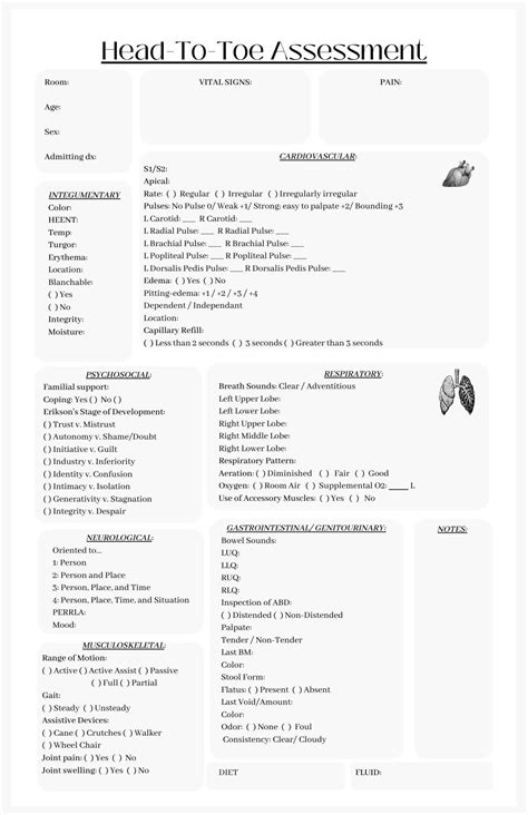 Head To Toe Assessment Checklist Form Hot Sex Picture