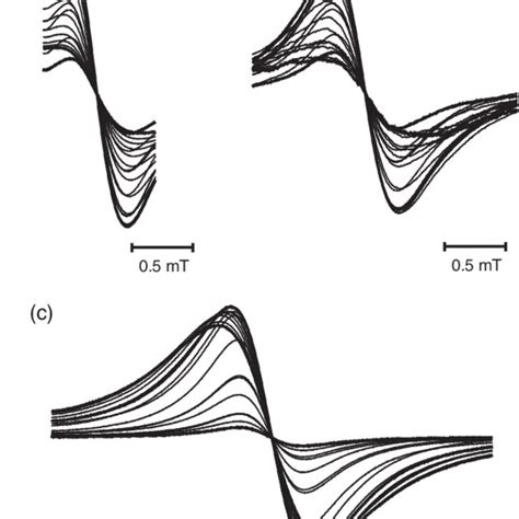 ESR Spectra Of Sepia Ink Related Materials In A Solid State The