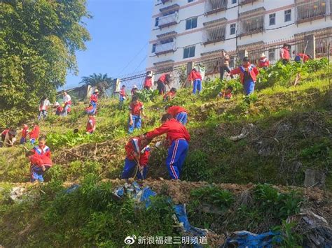 生命在于绿色，希望在于绿色！洋溪中心小学植树节活动