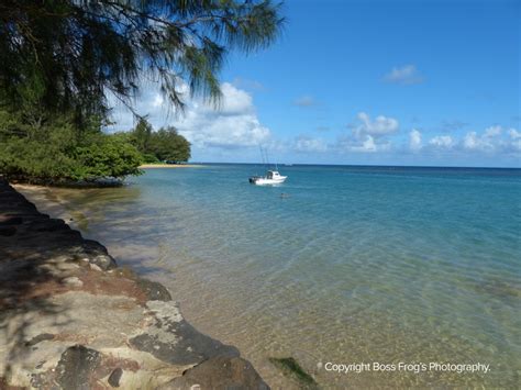 Anini Beach - Boss Frog's Snorkel, Bike & Beach Rentals