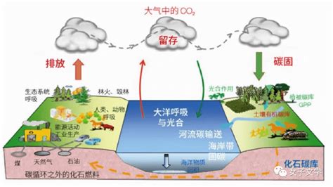 我是“双碳”的c，“碳汇”的c地球生物大气