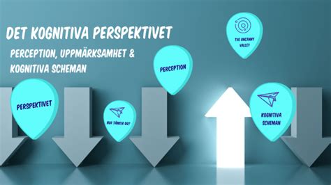 Det Kognitiva Perspektivet Perception By Rose Marie Fallgren On Prezi