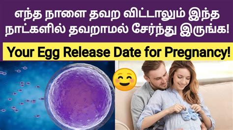 1st Step To Pregnant Fast Tamil How To Pregnant Fast And Naturally In