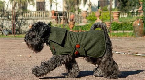 Pitti Uomo al via c è anche la prima sfilata di moda per cani